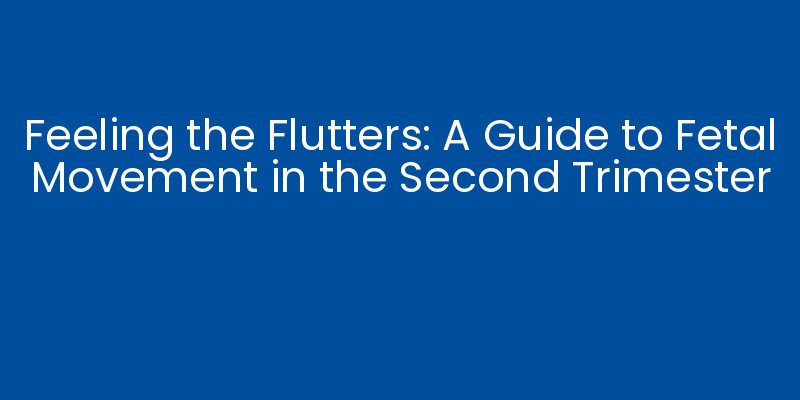 Feeling the Flutters: A Guide to Fetal Movement in the Second Trimester